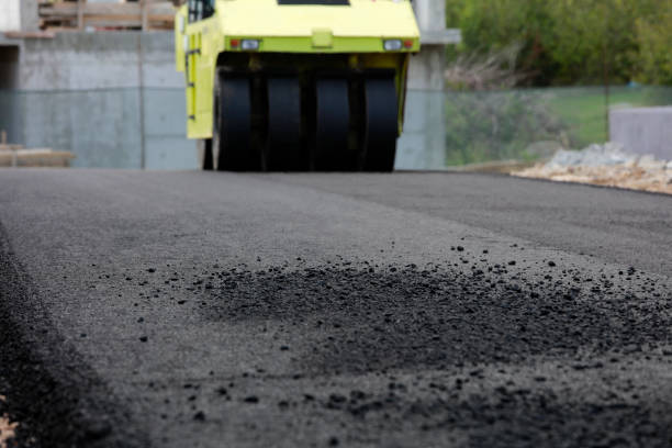 Best Local Driveway Pavers  in Zimmerman, MN